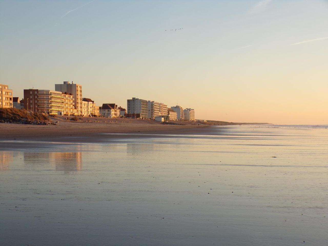 Le Regina Hotel Restaurant Hardelot-Plage Exterior foto